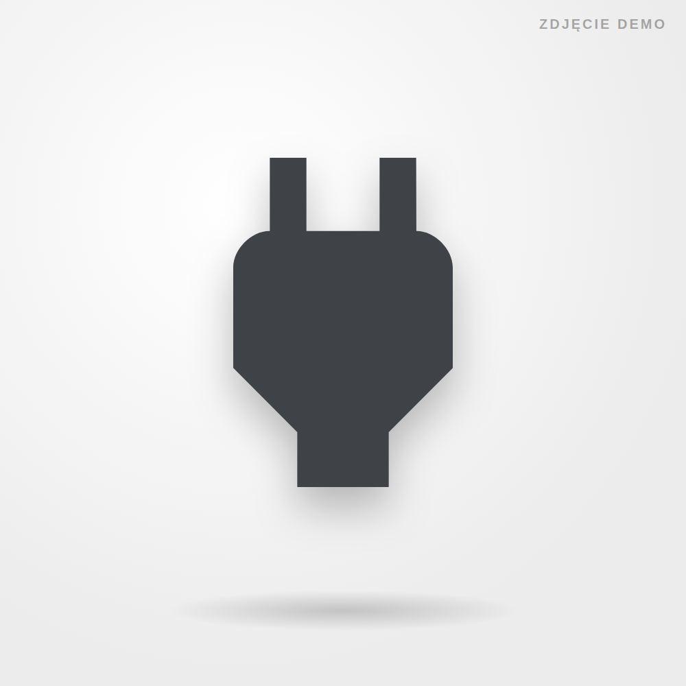 Zasilacz do laptopa Lenovo 65 W USB-C